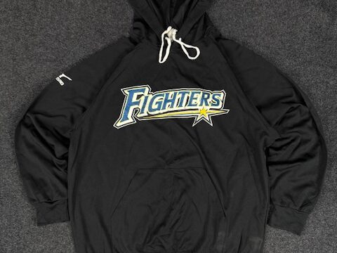 Fighter hoodie