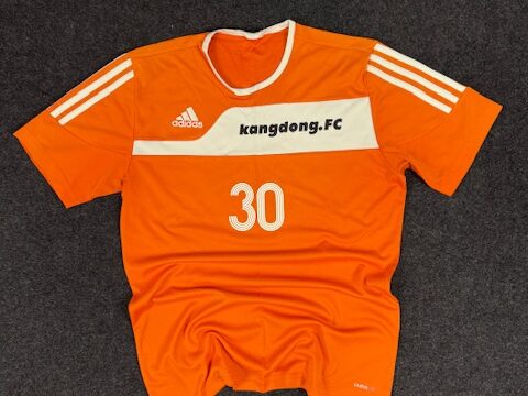Adidas CLIMALITE FOOTBALL SOCCER JERSEY - MEDIUM