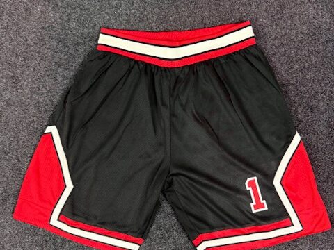 Sports shorts - LARGE